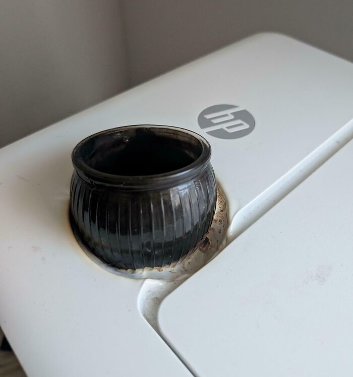 51 Painful Times Life Gave People Lemons And Absolutely No Way To Make Lemonade (New Pics) 51 Painful Times Life Gave People Lemons And Absolutely No Way To Make Lemonade (New Pics)