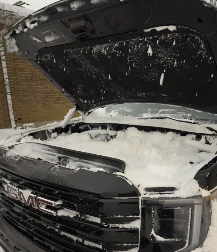 51 Painful Times Life Gave People Lemons And Absolutely No Way To Make Lemonade (New Pics) 51 Painful Times Life Gave People Lemons And Absolutely No Way To Make Lemonade (New Pics)