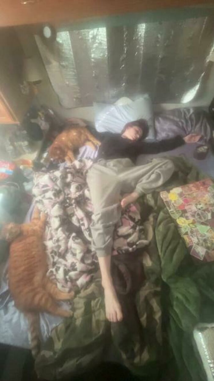 79 People Caught Sleeping In Hilarious And Unhinged Ways