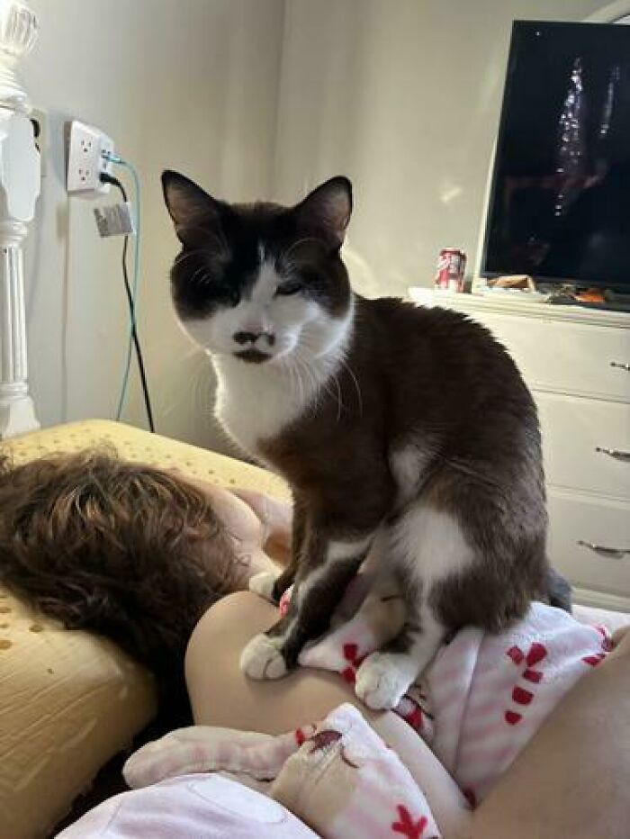 79 People Caught Sleeping In Hilarious And Unhinged Ways