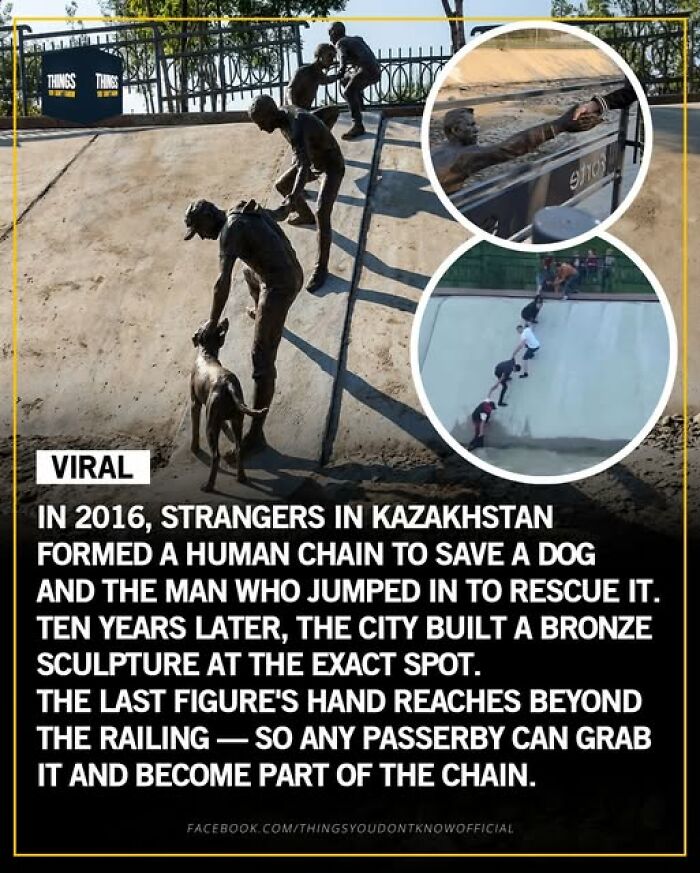 83 Facts And Stories That Show How Many Great, Sad And Weird Things Are Happening In Our World (New Pics)