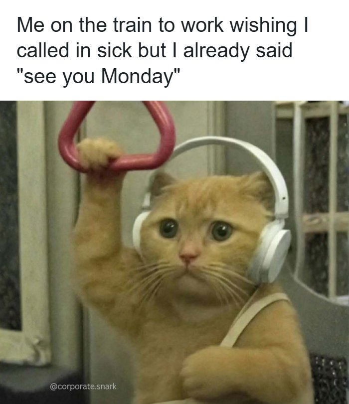 53 Work Memes To Help You Survive Another Meeting That Should&rsquo;ve Been An Email