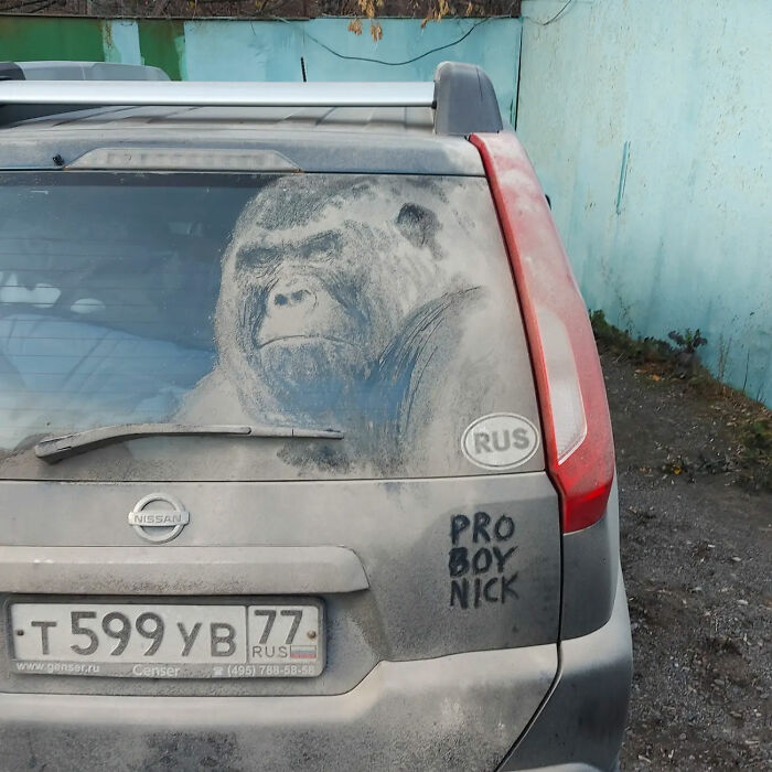 Owners Of Dirty Trucks Find Amazing Drawings On Their Vehicles Left By This Artist (40 New Pics)