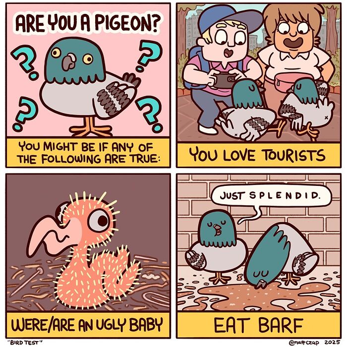 50 Clever, Laugh-Inducing Comics By Matt Czap