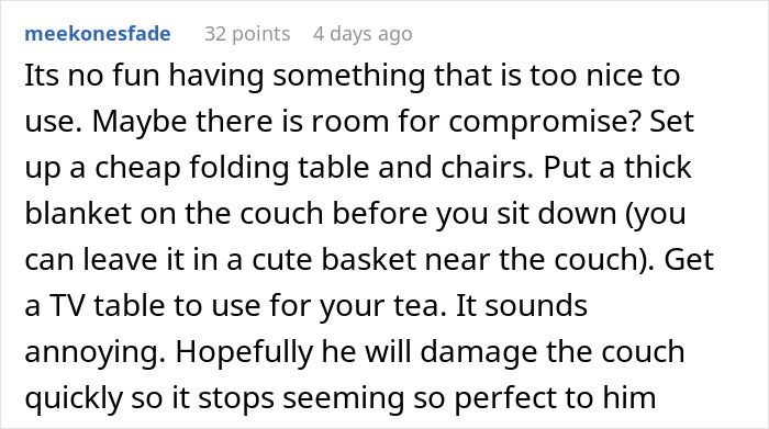 Guy Buys A Fancy Couch With A Side Of Rules, Roomie Feels Like It&rsquo;s A Museum Piece She Can&rsquo;t Touch