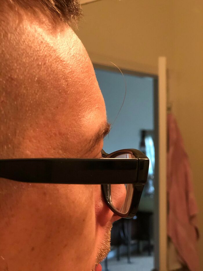 49 Crazy Eyebrows Seeming To Live Their Own Lives On Someone’s Face 49 Crazy Eyebrows Seeming To Live Their Own Lives On Someone’s Face