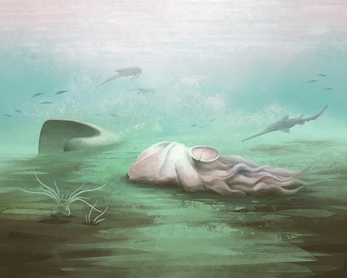 Scientists Baffled After World Guinness ‘Oldest’ Octopus Turns Out To Not Be An Octopus At All