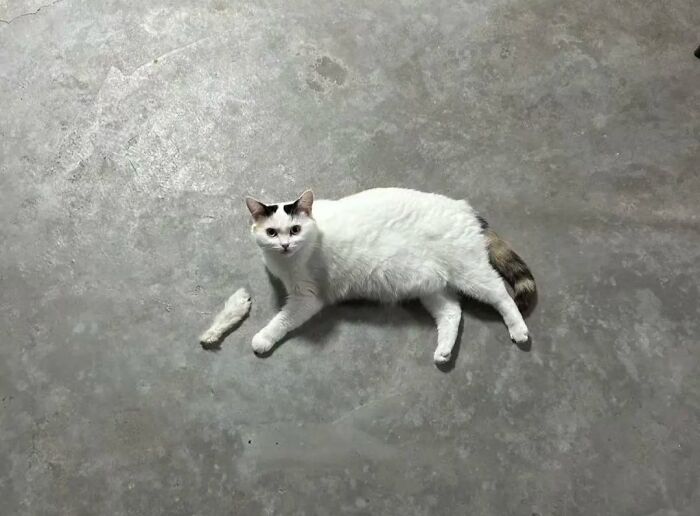 73 Unedited Photos That Might Mess With Your Already Tired Brain (New Pics) 73 Unedited Photos That Might Mess With Your Already Tired Brain (New Pics)