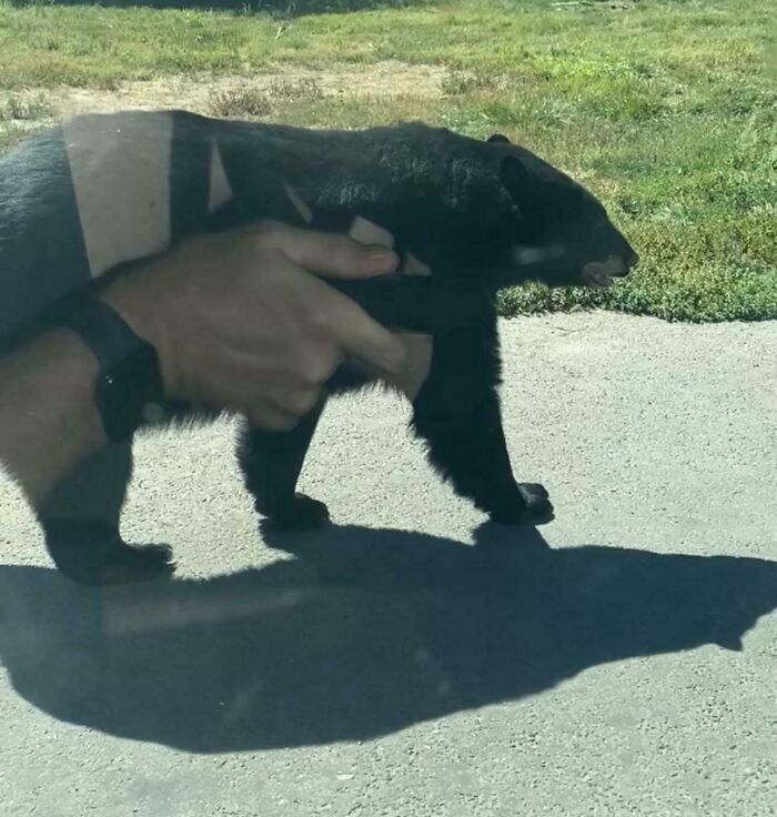 73 Unedited Photos That Might Mess With Your Already Tired Brain (New Pics) 73 Unedited Photos That Might Mess With Your Already Tired Brain (New Pics)