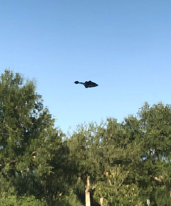 73 Unedited Photos That Might Mess With Your Already Tired Brain (New Pics) 73 Unedited Photos That Might Mess With Your Already Tired Brain (New Pics)