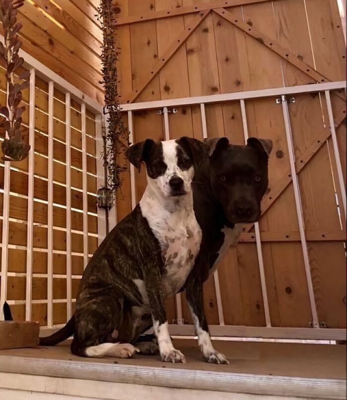 73 Unedited Photos That Might Mess With Your Already Tired Brain (New Pics) 73 Unedited Photos That Might Mess With Your Already Tired Brain (New Pics)