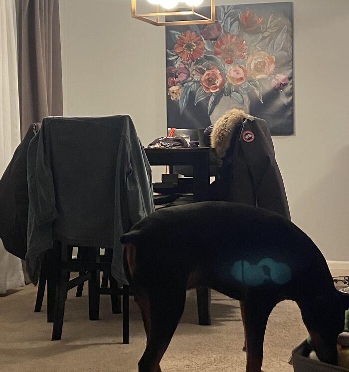 73 Unedited Photos That Might Mess With Your Already Tired Brain (New Pics) 73 Unedited Photos That Might Mess With Your Already Tired Brain (New Pics)