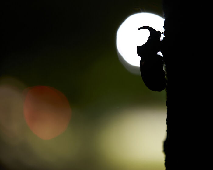 40 Breathtaking Photos That Capture Nature At Its Finest By Gianluca Gianferrari 40 Breathtaking Photos That Capture Nature At Its Finest By Gianluca Gianferrari