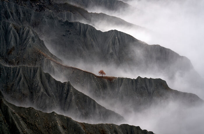 40 Breathtaking Photos That Capture Nature At Its Finest By Gianluca Gianferrari 40 Breathtaking Photos That Capture Nature At Its Finest By Gianluca Gianferrari