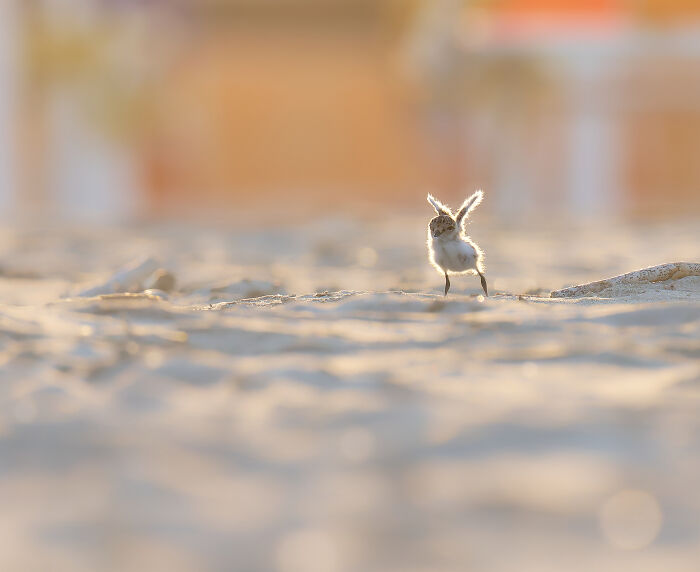 40 Breathtaking Photos That Capture Nature At Its Finest By Gianluca Gianferrari 40 Breathtaking Photos That Capture Nature At Its Finest By Gianluca Gianferrari