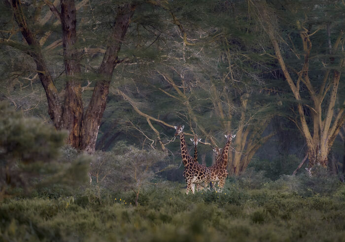 40 Breathtaking Photos That Capture Nature At Its Finest By Gianluca Gianferrari 40 Breathtaking Photos That Capture Nature At Its Finest By Gianluca Gianferrari