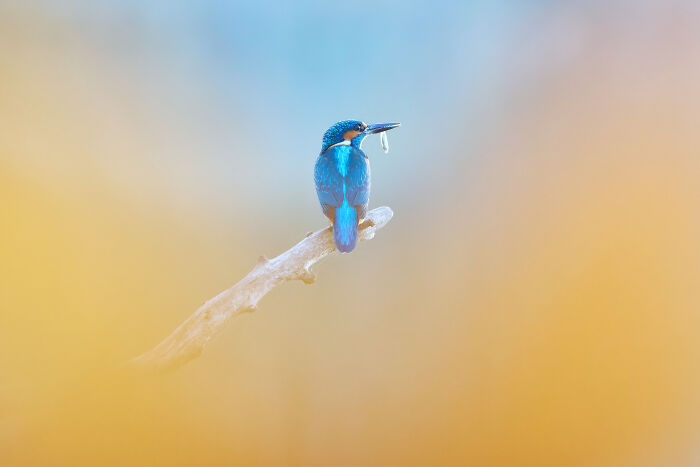 40 Breathtaking Photos That Capture Nature At Its Finest By Gianluca Gianferrari 40 Breathtaking Photos That Capture Nature At Its Finest By Gianluca Gianferrari