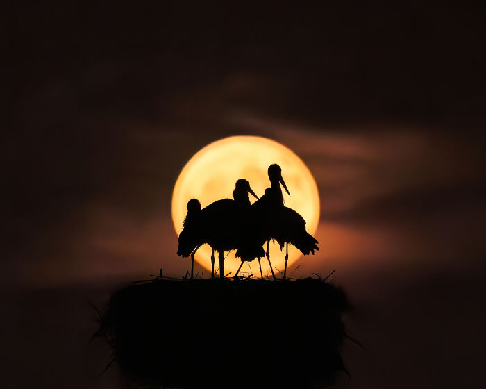 40 Breathtaking Photos That Capture Nature At Its Finest By Gianluca Gianferrari 40 Breathtaking Photos That Capture Nature At Its Finest By Gianluca Gianferrari