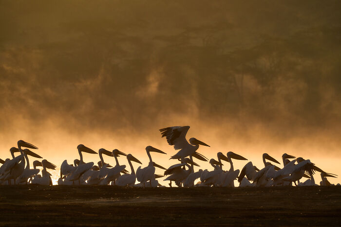 40 Breathtaking Photos That Capture Nature At Its Finest By Gianluca Gianferrari 40 Breathtaking Photos That Capture Nature At Its Finest By Gianluca Gianferrari