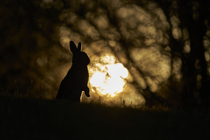 40 Breathtaking Photos That Capture Nature At Its Finest By Gianluca Gianferrari 40 Breathtaking Photos That Capture Nature At Its Finest By Gianluca Gianferrari