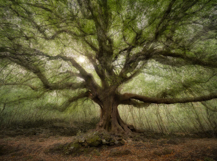 40 Breathtaking Photos That Capture Nature At Its Finest By Gianluca Gianferrari 40 Breathtaking Photos That Capture Nature At Its Finest By Gianluca Gianferrari