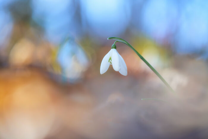 40 Breathtaking Photos That Capture Nature At Its Finest By Gianluca Gianferrari 40 Breathtaking Photos That Capture Nature At Its Finest By Gianluca Gianferrari