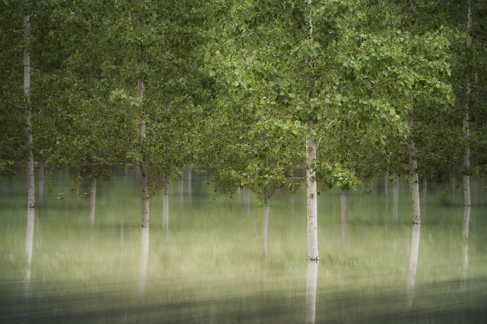 40 Breathtaking Photos That Capture Nature At Its Finest By Gianluca Gianferrari 40 Breathtaking Photos That Capture Nature At Its Finest By Gianluca Gianferrari