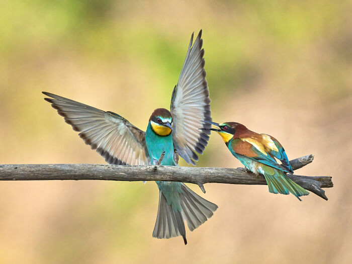 40 Breathtaking Photos That Capture Nature At Its Finest By Gianluca Gianferrari 40 Breathtaking Photos That Capture Nature At Its Finest By Gianluca Gianferrari