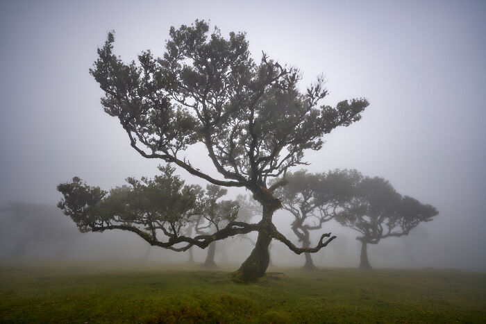 40 Breathtaking Photos That Capture Nature At Its Finest By Gianluca Gianferrari 40 Breathtaking Photos That Capture Nature At Its Finest By Gianluca Gianferrari
