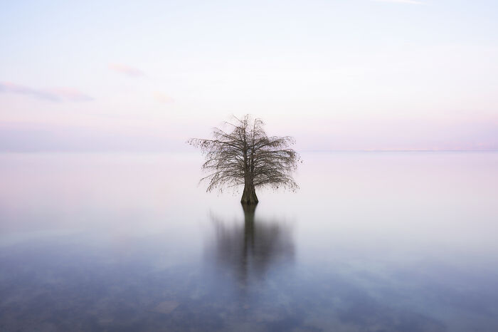 40 Breathtaking Photos That Capture Nature At Its Finest By Gianluca Gianferrari 40 Breathtaking Photos That Capture Nature At Its Finest By Gianluca Gianferrari