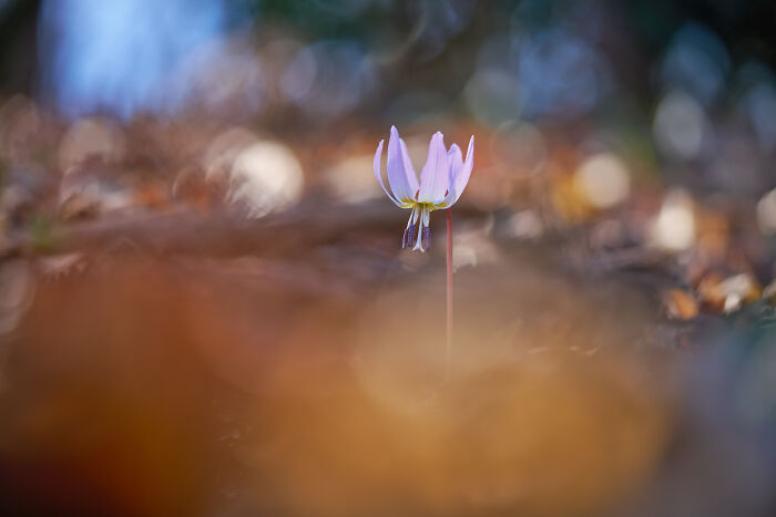 40 Breathtaking Photos That Capture Nature At Its Finest By Gianluca Gianferrari 40 Breathtaking Photos That Capture Nature At Its Finest By Gianluca Gianferrari