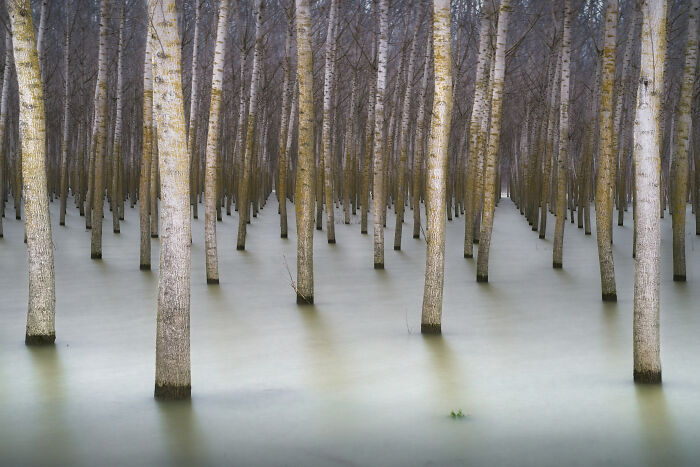 40 Breathtaking Photos That Capture Nature At Its Finest By Gianluca Gianferrari 40 Breathtaking Photos That Capture Nature At Its Finest By Gianluca Gianferrari