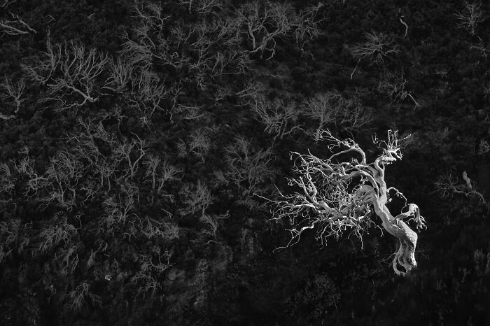 40 Breathtaking Photos That Capture Nature At Its Finest By Gianluca Gianferrari 40 Breathtaking Photos That Capture Nature At Its Finest By Gianluca Gianferrari