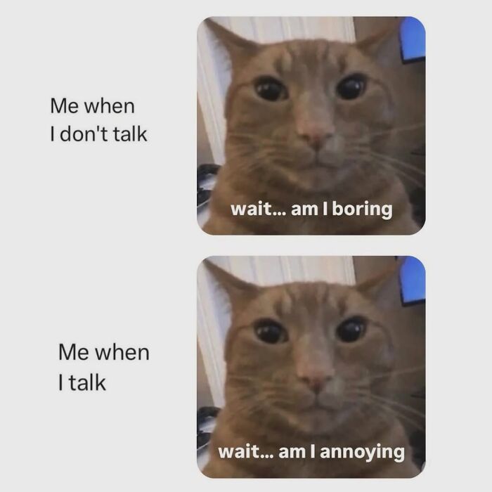 This Page Shares Everything Cats, And Here Are 65 Of Their Hilarious Photos And Memes