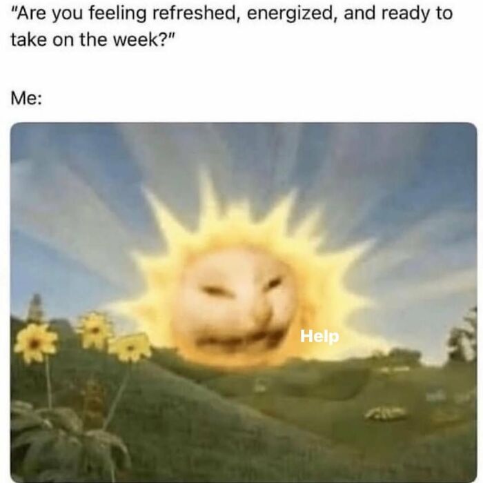 This Page Shares Everything Cats, And Here Are 65 Of Their Hilarious Photos And Memes