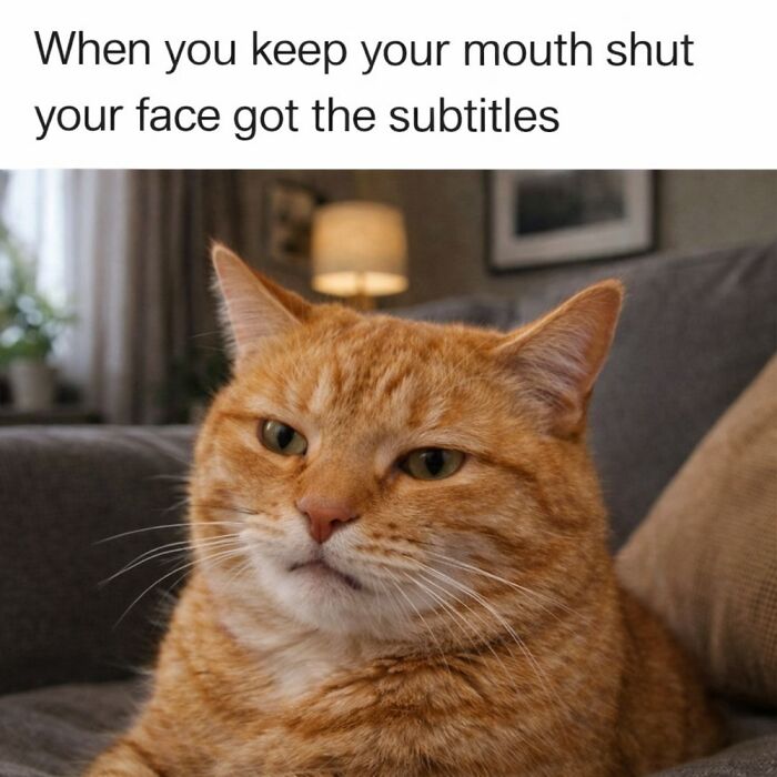 This Page Shares Everything Cats, And Here Are 65 Of Their Hilarious Photos And Memes