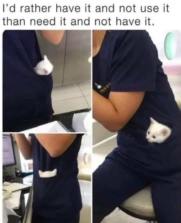 This Page Shares Everything Cats, And Here Are 65 Of Their Hilarious Photos And Memes