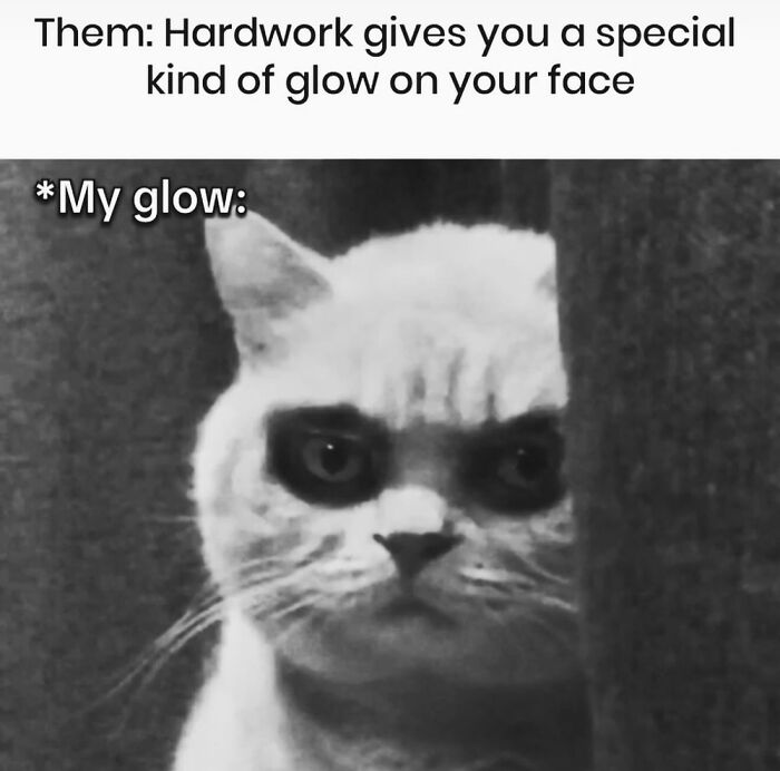 This Page Shares Everything Cats, And Here Are 65 Of Their Hilarious Photos And Memes