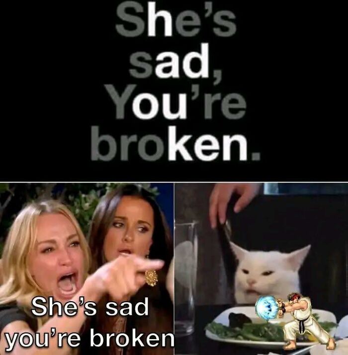 This Page Shares Everything Cats, And Here Are 65 Of Their Hilarious Photos And Memes