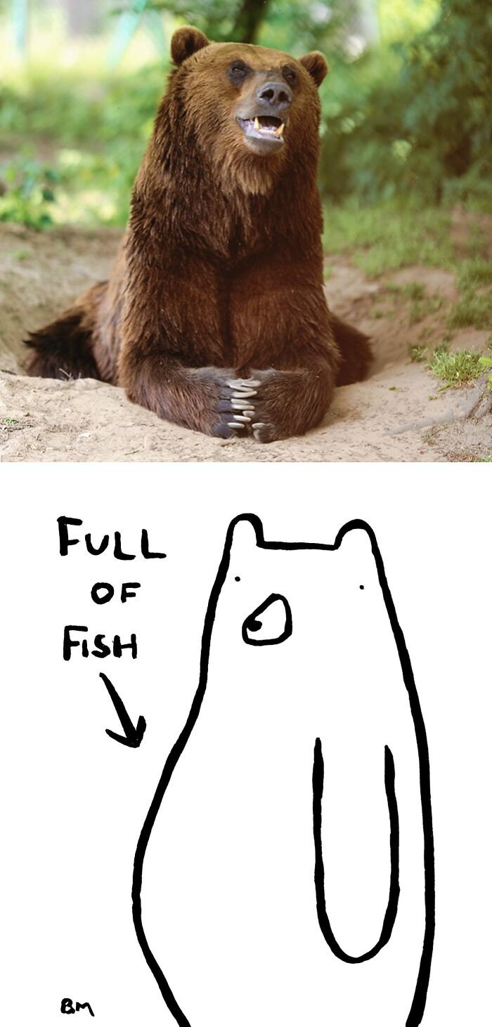 This Collaborative Project Turns Bear Hibernation Into The Sweetest Competition You Might See Today (14 Pics)