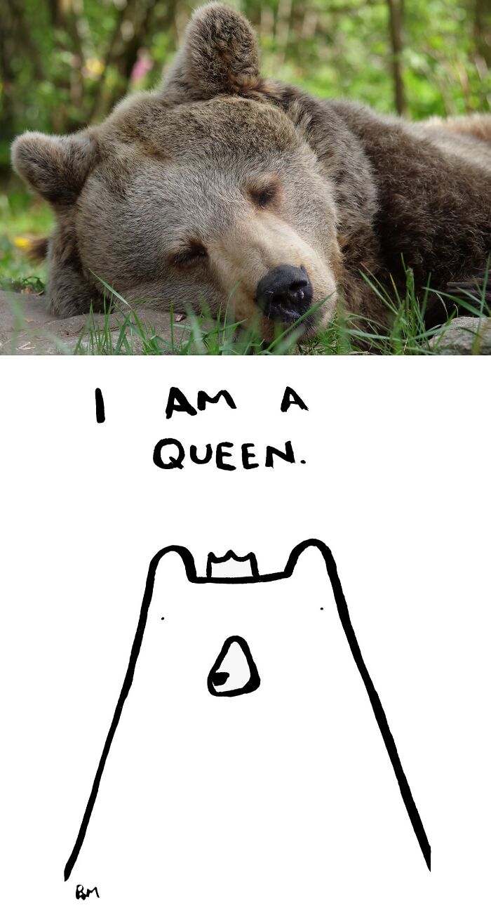 This Collaborative Project Turns Bear Hibernation Into The Sweetest Competition You Might See Today (14 Pics)