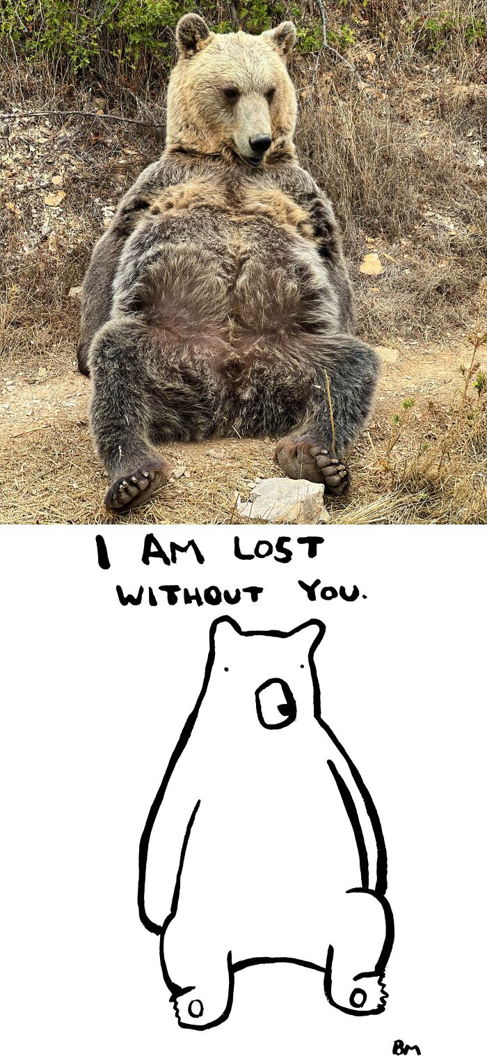 This Collaborative Project Turns Bear Hibernation Into The Sweetest Competition You Might See Today (14 Pics)