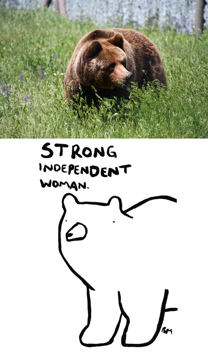 This Collaborative Project Turns Bear Hibernation Into The Sweetest Competition You Might See Today (14 Pics)