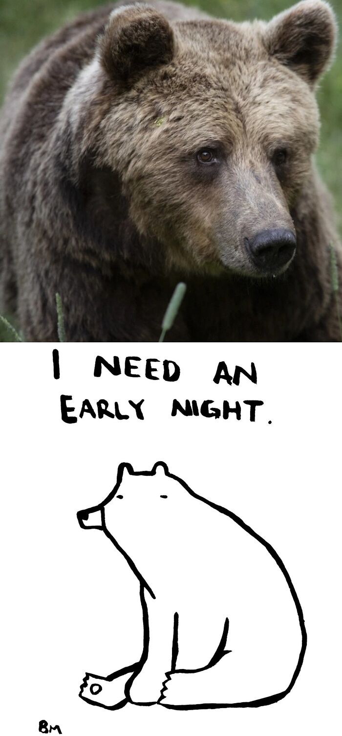 This Collaborative Project Turns Bear Hibernation Into The Sweetest Competition You Might See Today (14 Pics)