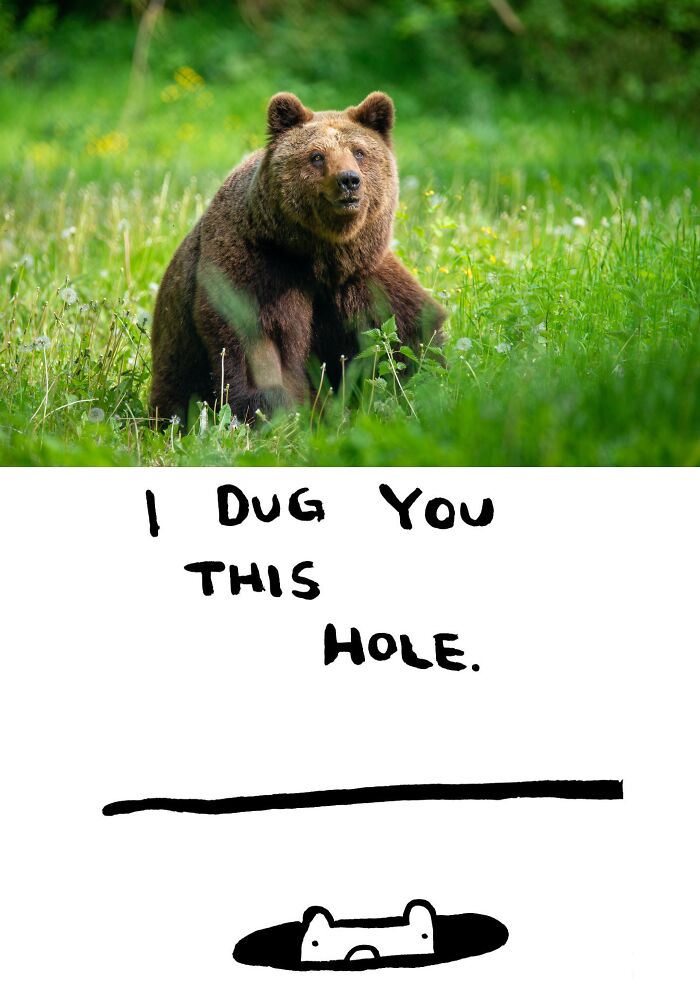 This Collaborative Project Turns Bear Hibernation Into The Sweetest Competition You Might See Today (14 Pics)