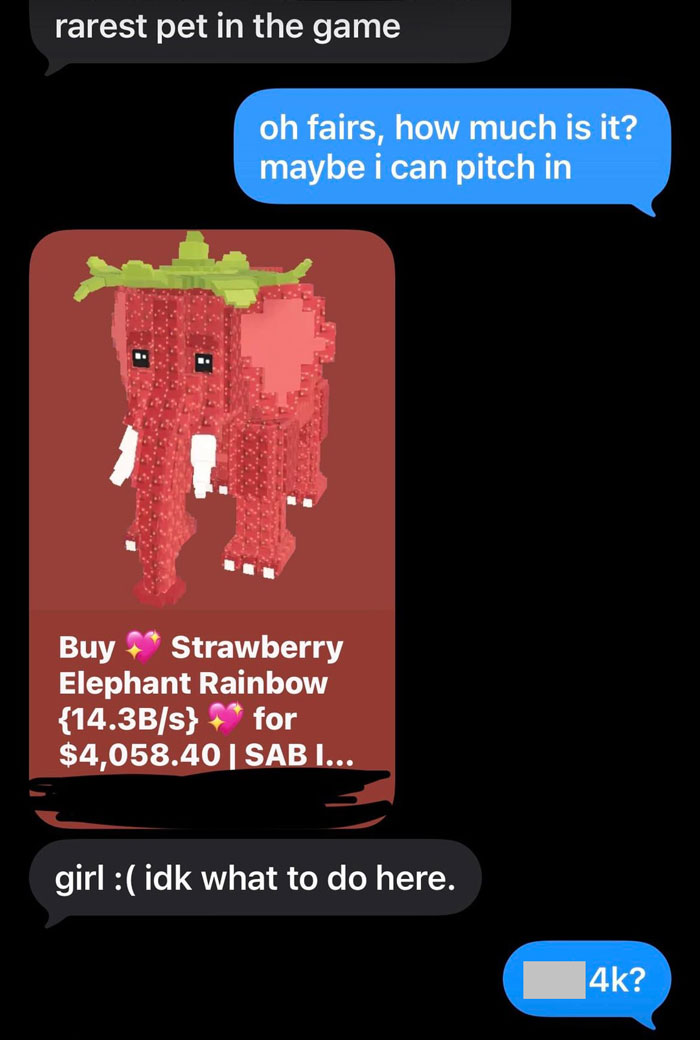 Teen Loses Roblox Pet She Was Watching For Friend, Owner Slaps $4K Price Tag On Pixels And Loses It