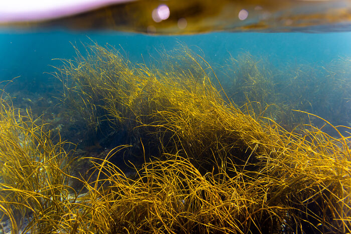 31 Stunning Photos That Celebrate Scotland’s Wild Side Have Been Shared By The 2025 SNPA 31 Stunning Photos That Celebrate Scotland’s Wild Side Have Been Shared By The 2025 SNPA