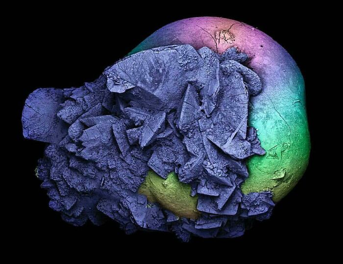 72 Unbelievable Microscope Images That Look Like They’re From Another Planet 72 Unbelievable Microscope Images That Look Like They’re From Another Planet