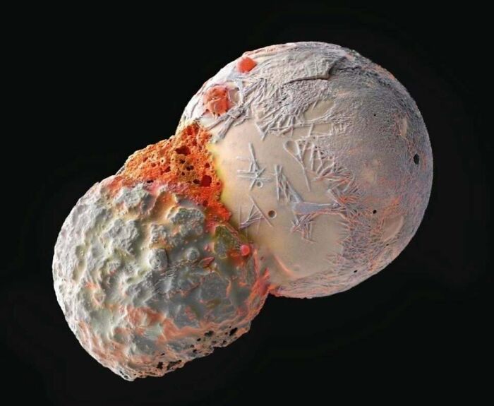 72 Unbelievable Microscope Images That Look Like They’re From Another Planet 72 Unbelievable Microscope Images That Look Like They’re From Another Planet