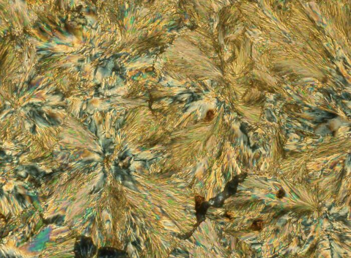 72 Unbelievable Microscope Images That Look Like They’re From Another Planet 72 Unbelievable Microscope Images That Look Like They’re From Another Planet